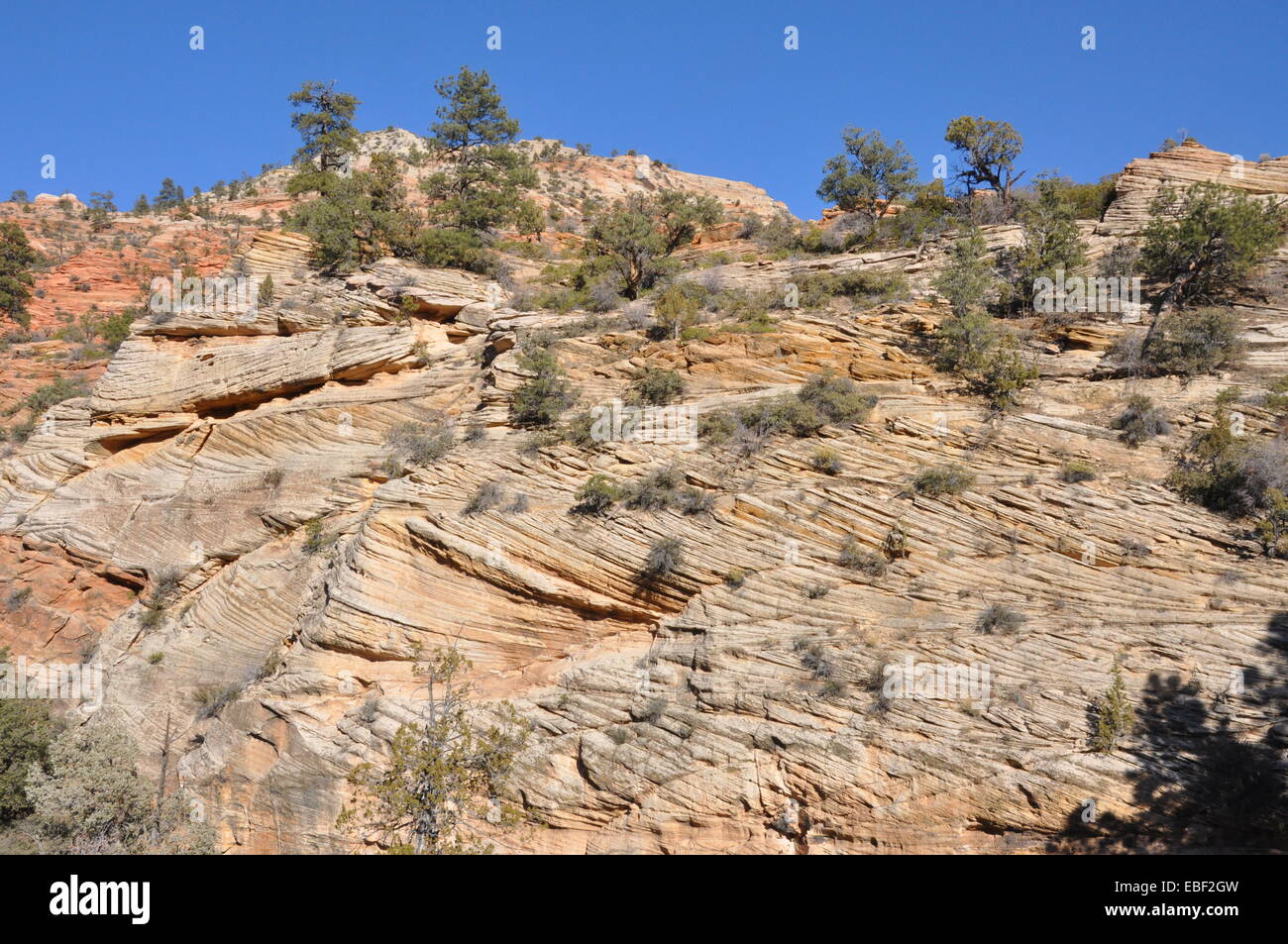 Rillen auf den Felsen von einer Klippe im Zion Nationalpark, Utah. Stockfoto