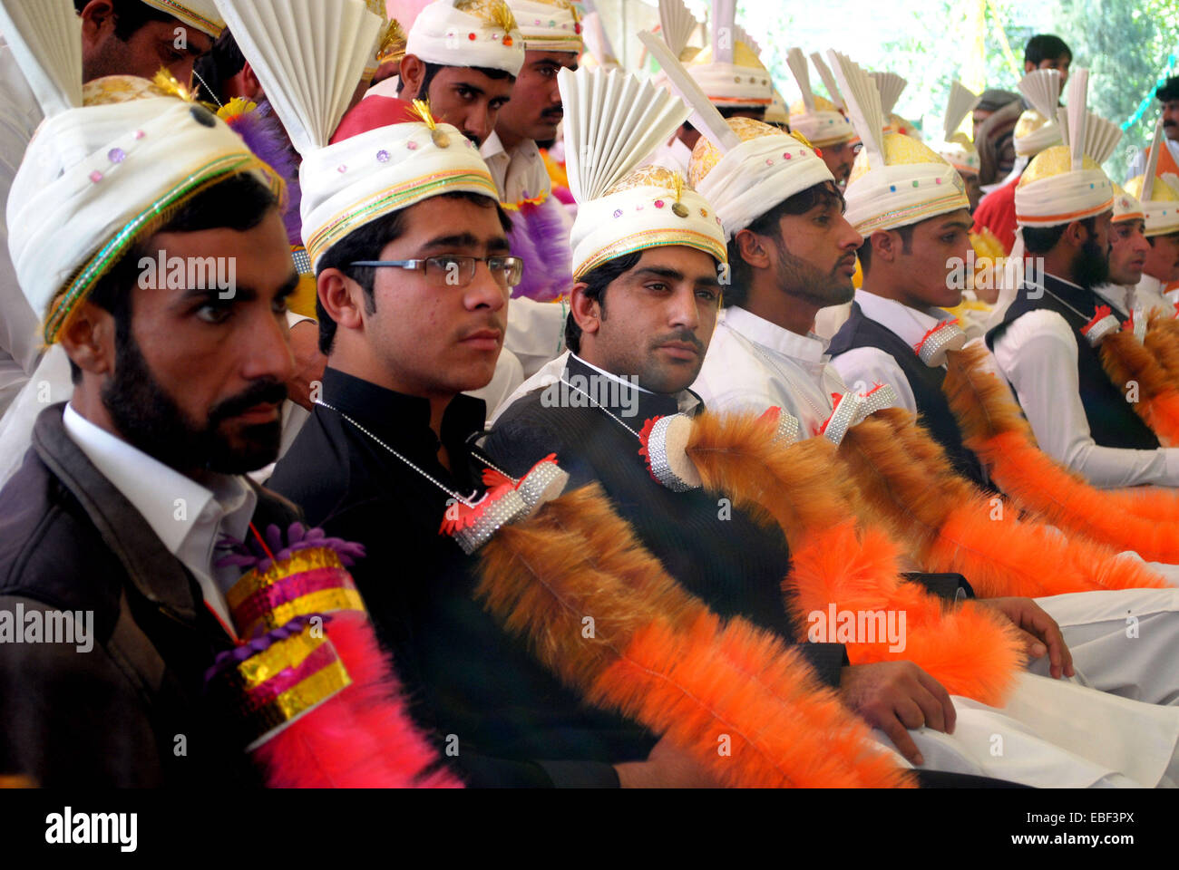 Peshawar. 29. November 2014. Pferdepfleger sind bei einer Massenhochzeit in Nordwest-Pakistan Peshawar, 29. November 2014 sehen. Insgesamt 50 Paare nahmen an einer Gruppe Hochzeitszeremonie organisiert von Welfare Association in Peshawar. © Umar Qayyum/Xinhua/Alamy Live-Nachrichten Stockfoto