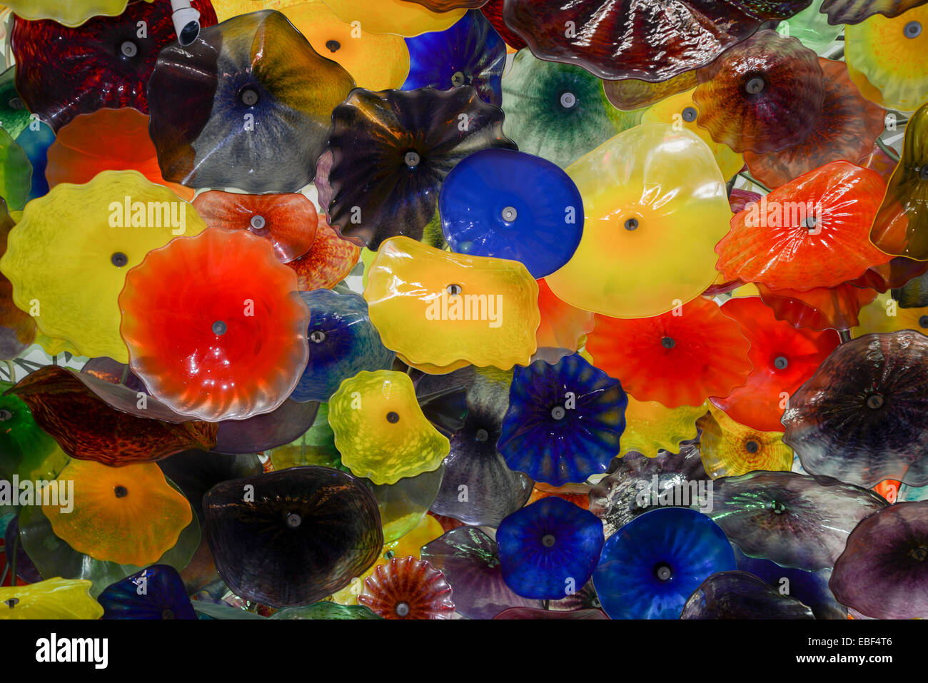 Mundgeblasene Glas Blume Decke im Bellagio Hotel durch Künstler Dale Chihuly Stockfoto