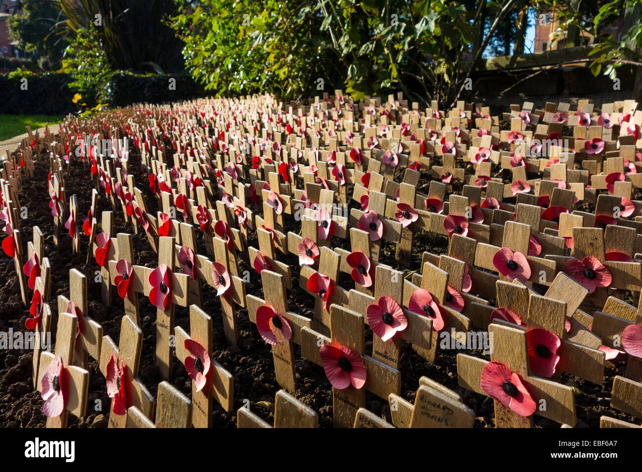 Kleine hölzerne Kreuze mit Mohnblumen, Denkmal des ersten Weltkriegs Stockfoto