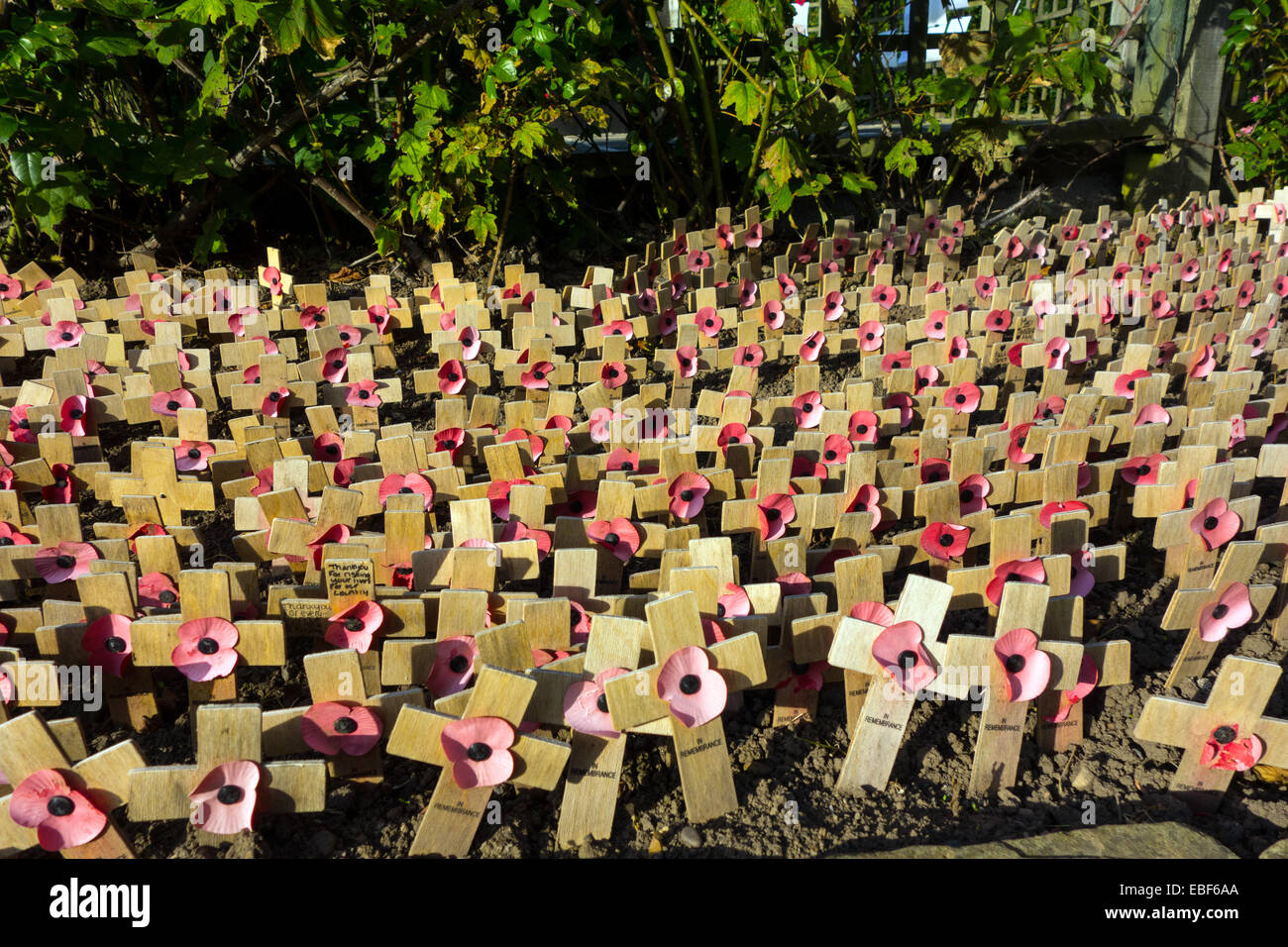 Kleine hölzerne Kreuze mit Mohnblumen, Denkmal des ersten Weltkriegs Stockfoto