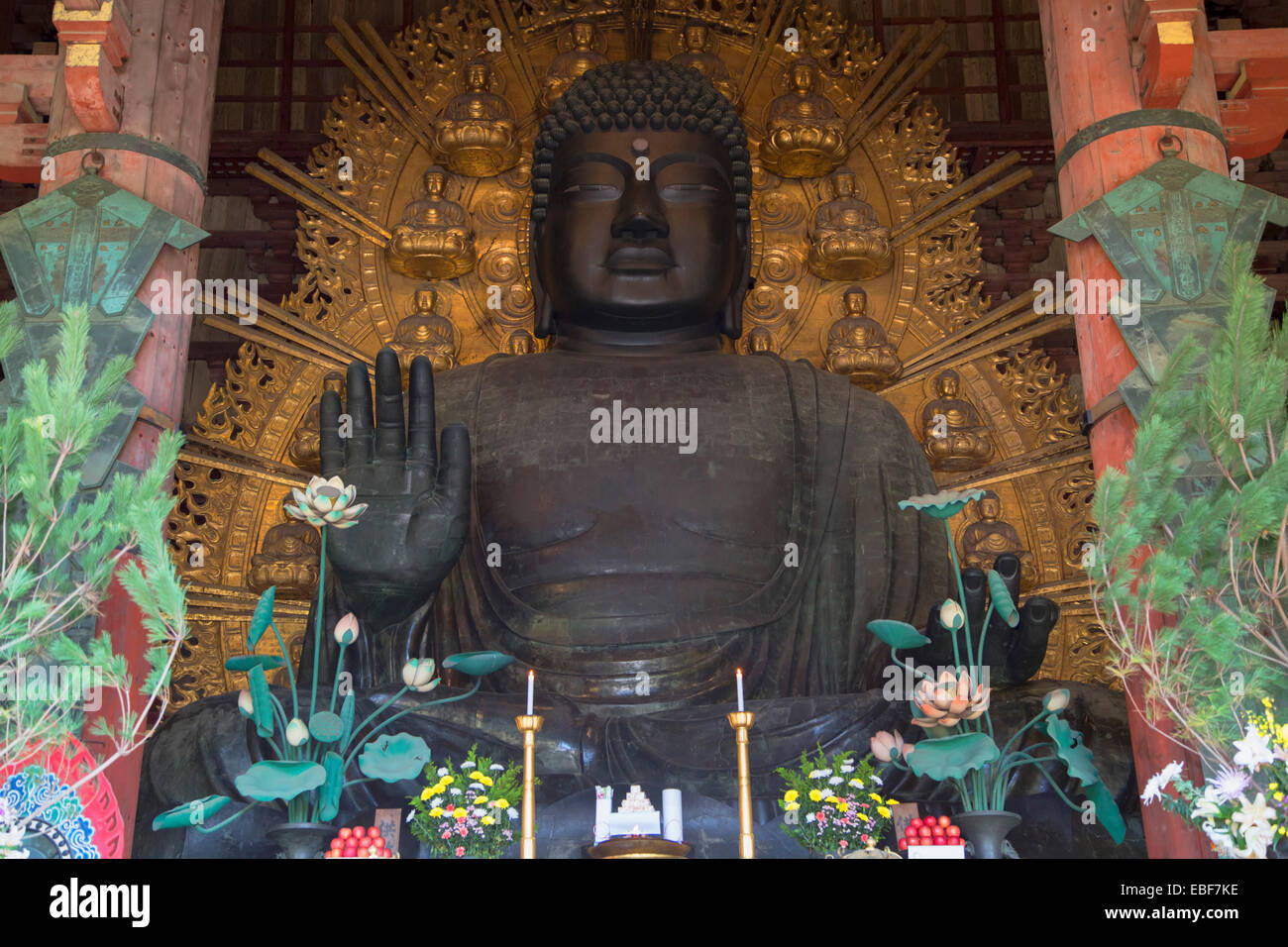 Der Daibutsu (großer Buddha) im Todaiji Tempel (UNESCO-Weltkulturerbe), Nara, Kansai, Japan Stockfoto