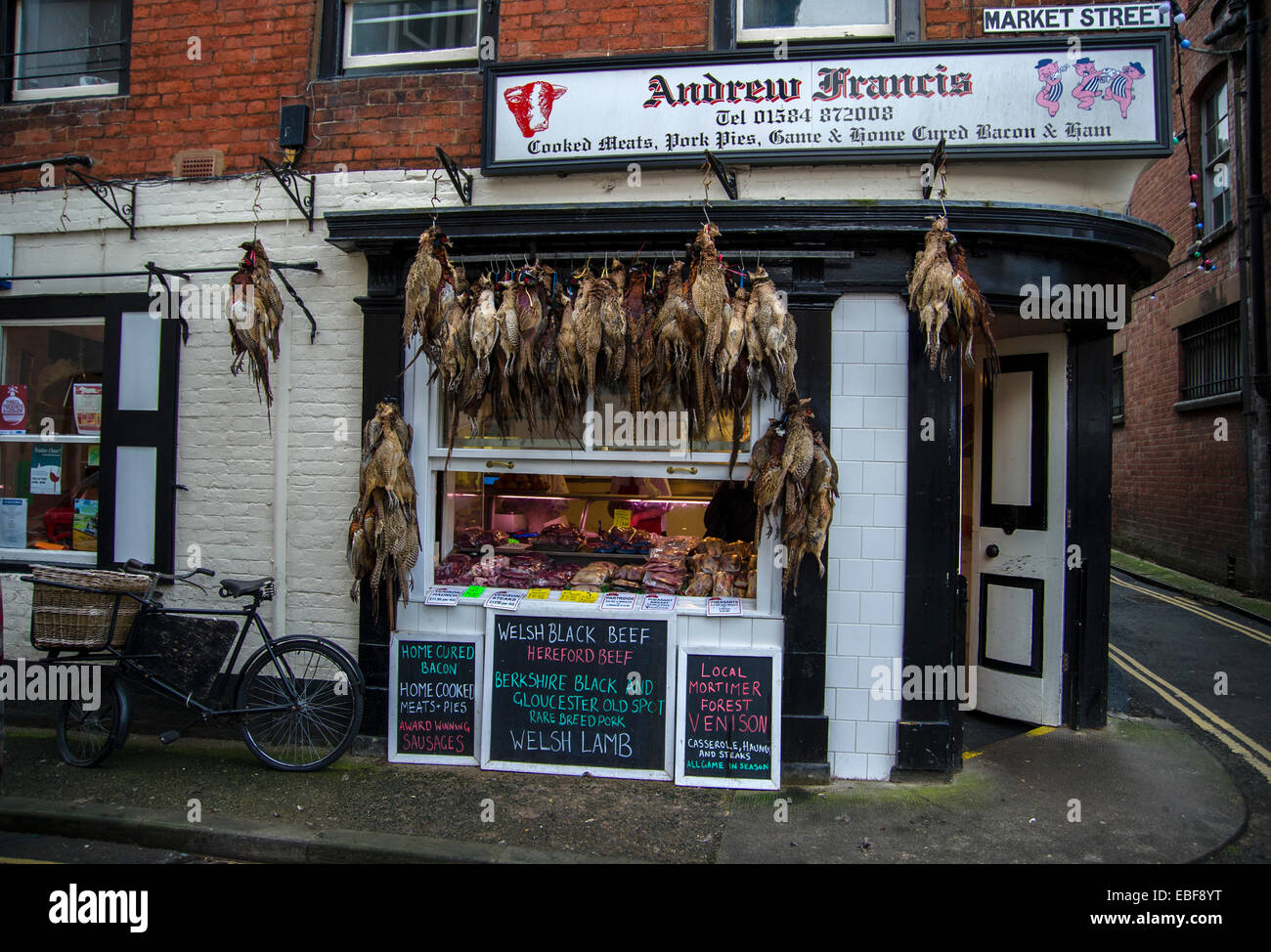 Fasane und Federwild hängen vor einem traditionellen Metzger-Shop in Ludlow Shropshire Stockfoto