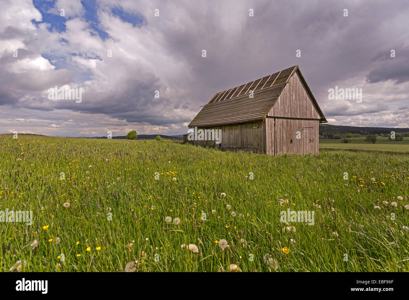 Holzhütte mit Blume Feld, Fichtelgebirge, Bayern, Deutschland, Europa Stockfoto