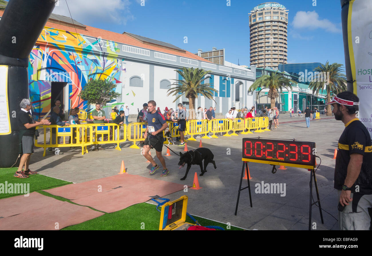 Canicross Rennen/Fun Run in Spanien Stockfoto