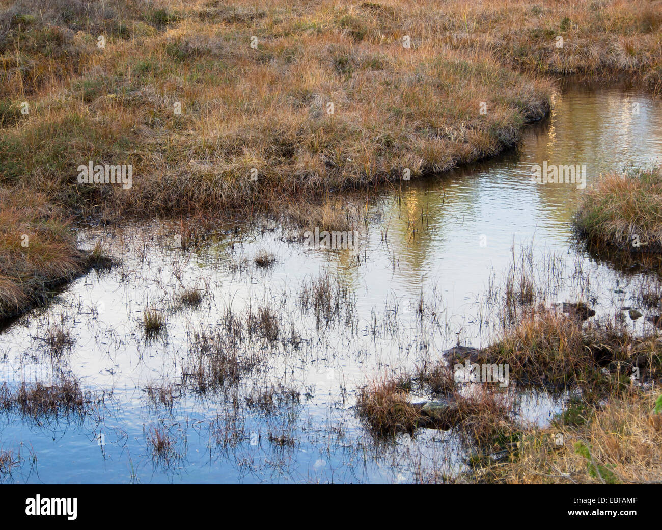 Spiegelt sich der Himmel in kleinen Tarn in einem Moor, Stavanger Norwegen Stockfoto