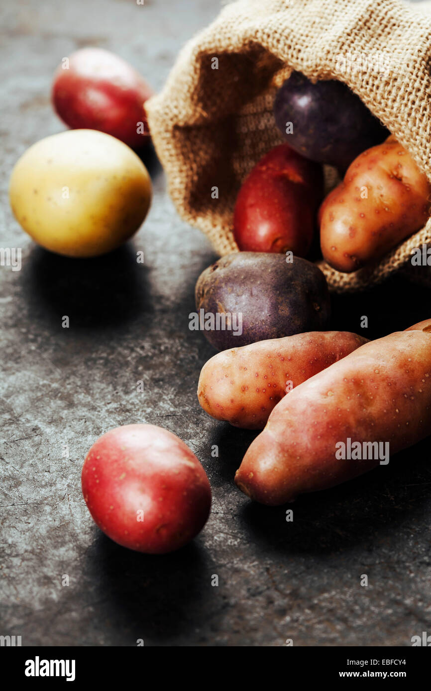 Rohe bunte Kartoffeln in Jute-Tasche Stockfoto