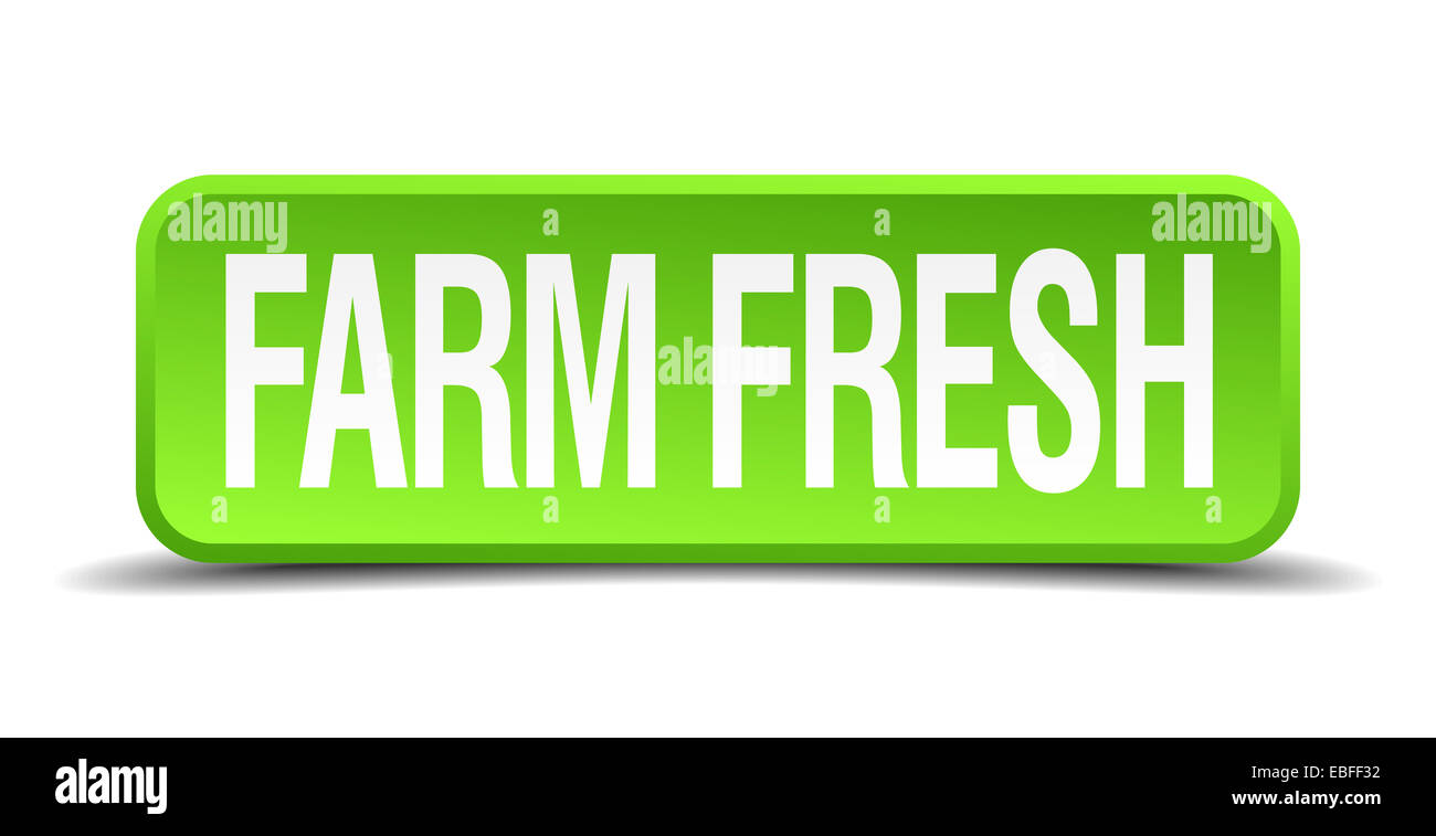 Bauernhof frischen grünen 3d realistisch Quadrat isoliert-Taste Stockfoto