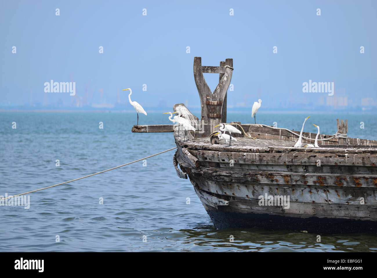 Alte Fischerei Schiff mit Silberreiher in der marina Stockfoto