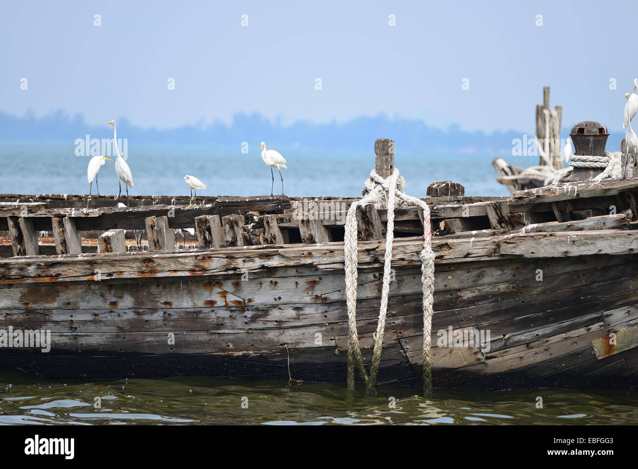 Alte Fischerei Schiff mit Silberreiher in der marina Stockfoto