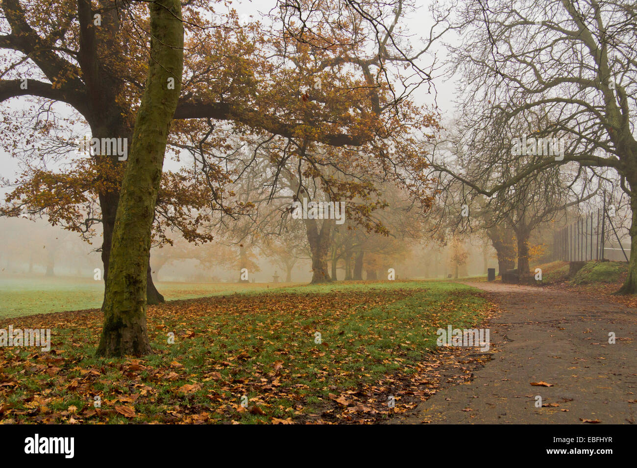 Herbst-Park in London. Blick auf Pfad unter Bäumen, neben Tennisplatz. Stockfoto