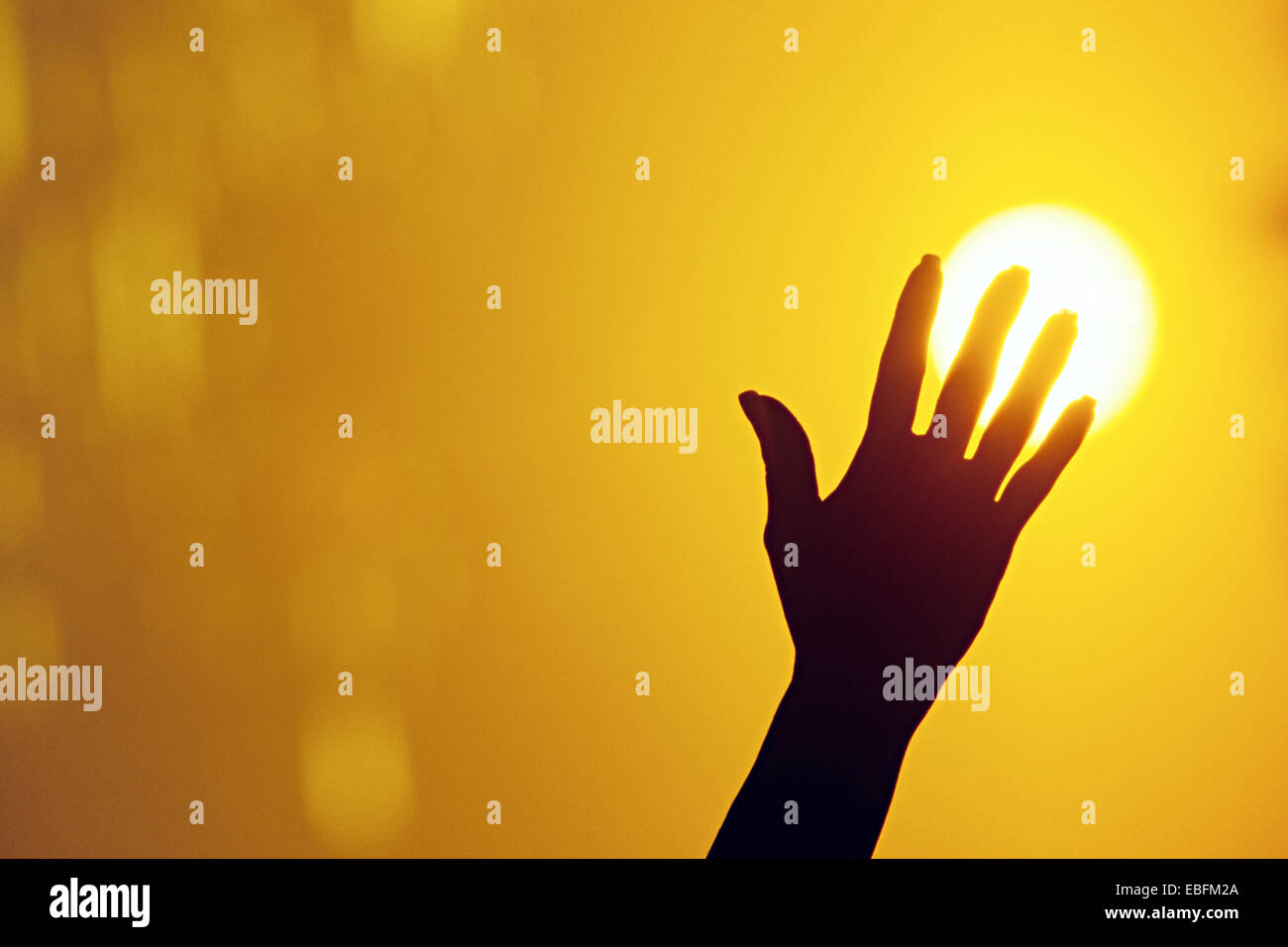 Hand Griff nach der Sonne Stockfoto