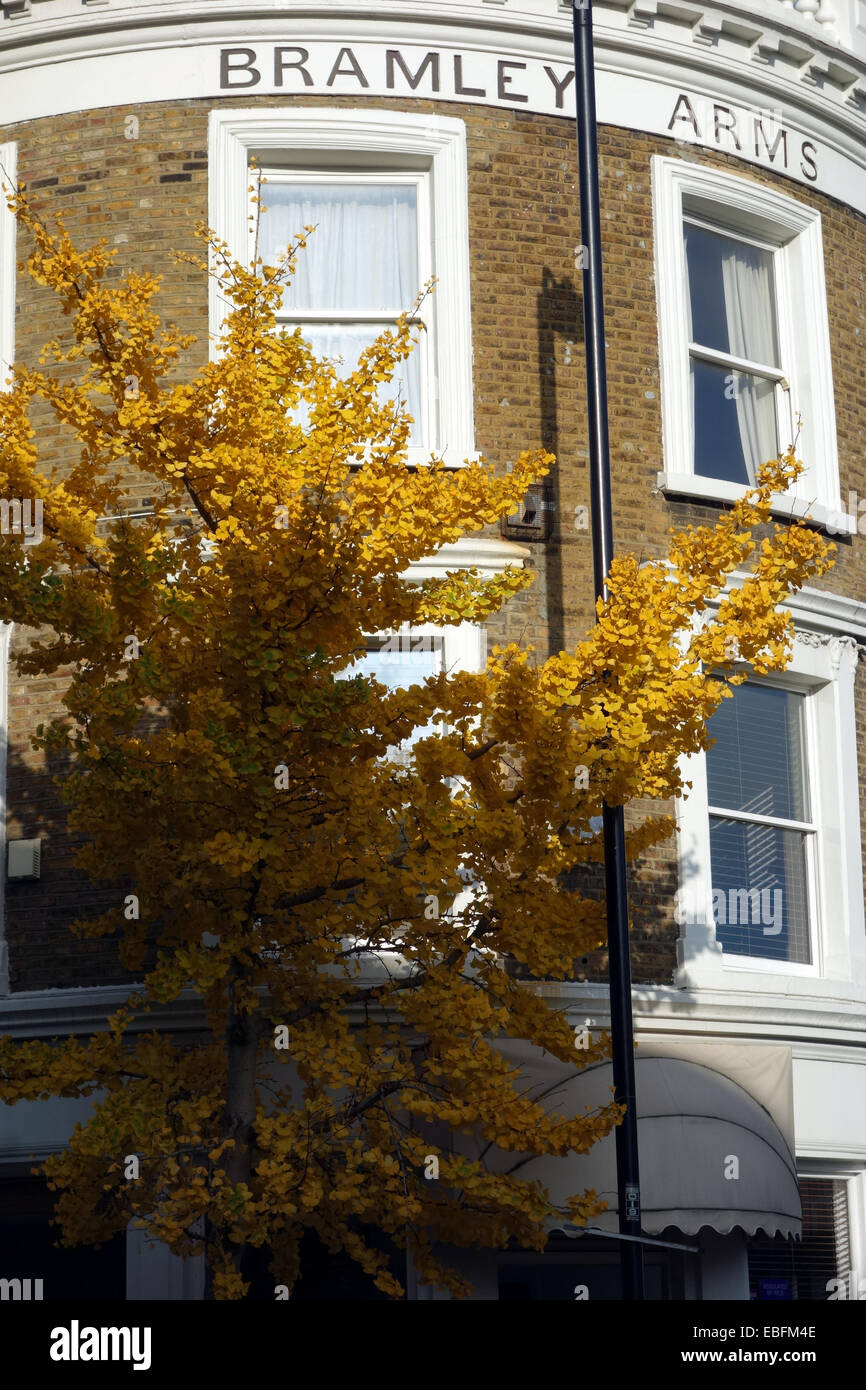 Bramley Arme, jetzt Wohnungen in Notting Hill London W11 Stockfoto