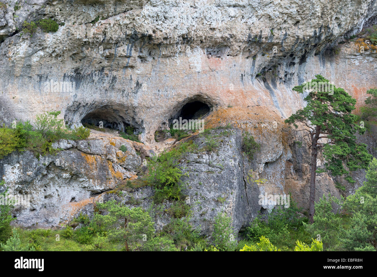 Eine erodierte Kalkstein Formation ähnelt ein Gesicht mit Augen am Parc de Loisirs Natur de Montpellier-le-Vieux in der Nähe von Millau. Stockfoto