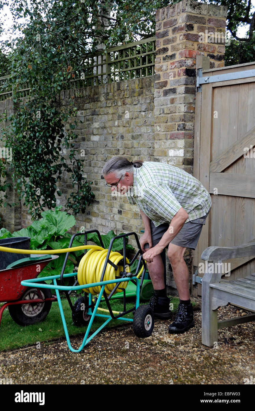 Mann, die verwinkelten Garten Gartenschlauch auf Trolley - Freiwillige in Chiswick House Küchengarten, London Borough of Hounslow Stockfoto