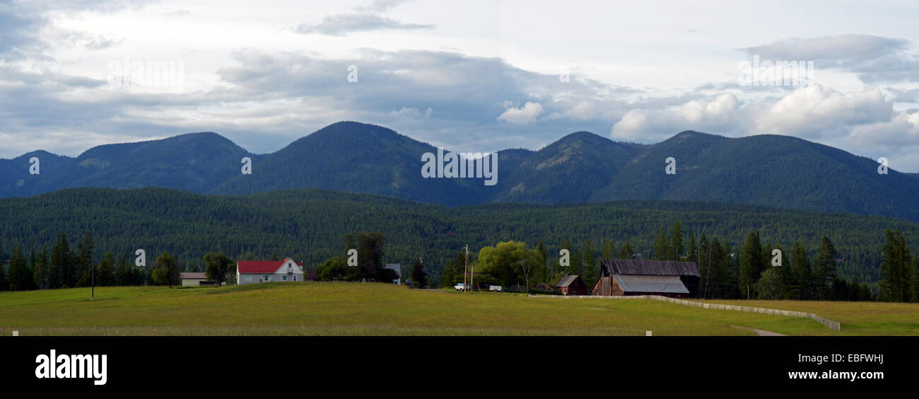 Ackerland in den Ausläufern der Haskill Becken mit Big Mountain in der Ferne. Flathead County, Montana. Stockfoto