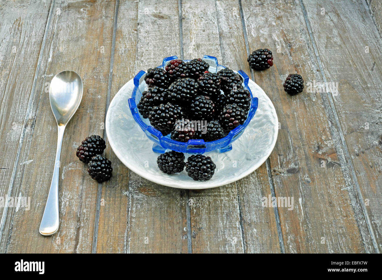 Rubus Fruticosus 'Lochness"in Vintage blau Glas Schüssel auf weiße Untertasse mit Löffel Stockfoto