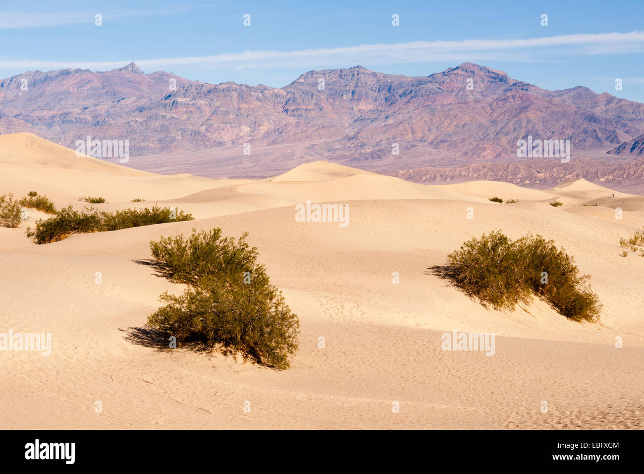 Der Wind türmt sich Sand am Talboden Stockfoto