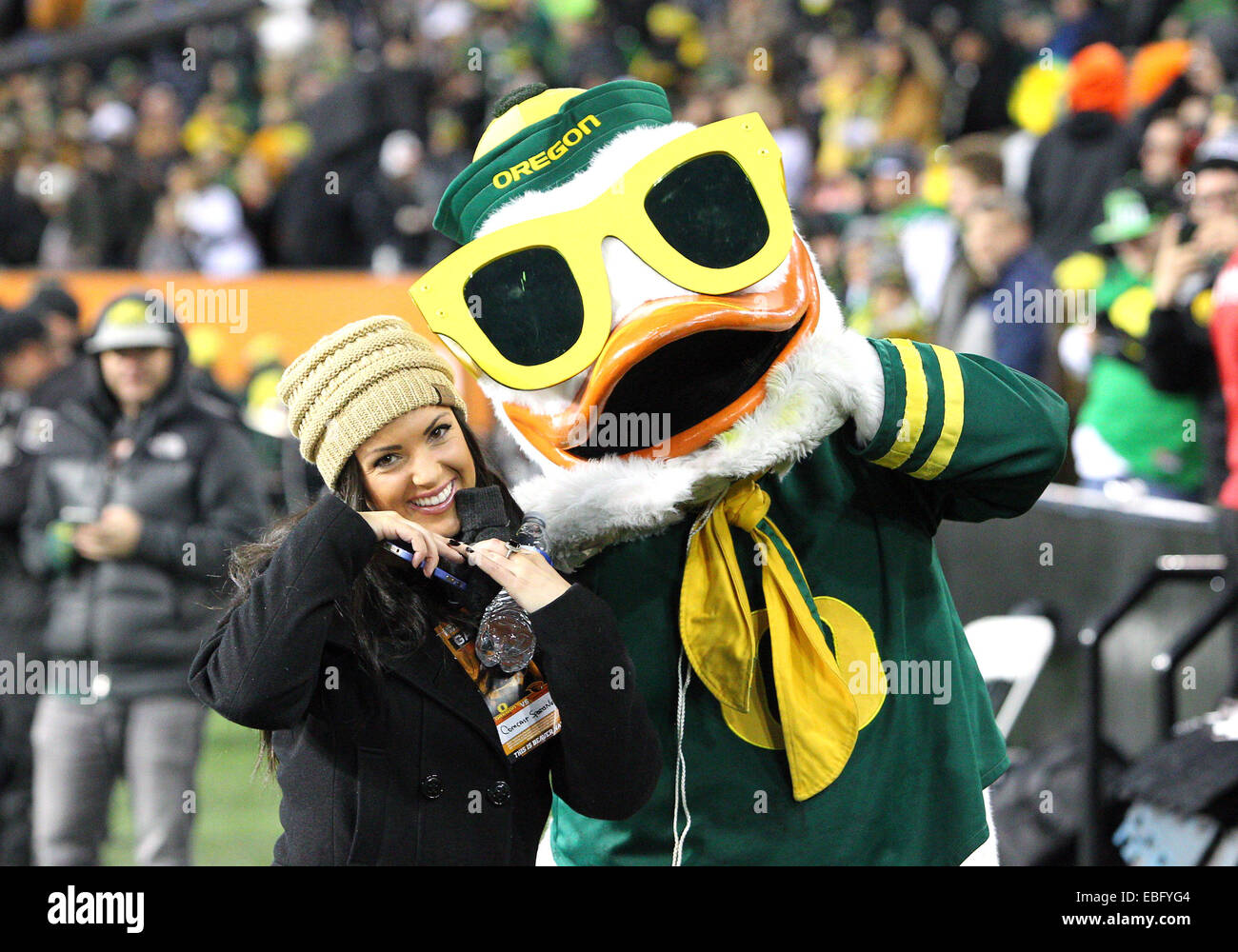 29. November 2014: The Oregon Duck schmiegt sich mit einem Comcast Sportnet Reporter vor dem Beginn des Bürgerkrieges 2014 Oregon zwischen den Enten und der Oregon State Beavers Orchesterprobe Stadium, Corvallis, OR, USA Stockfoto