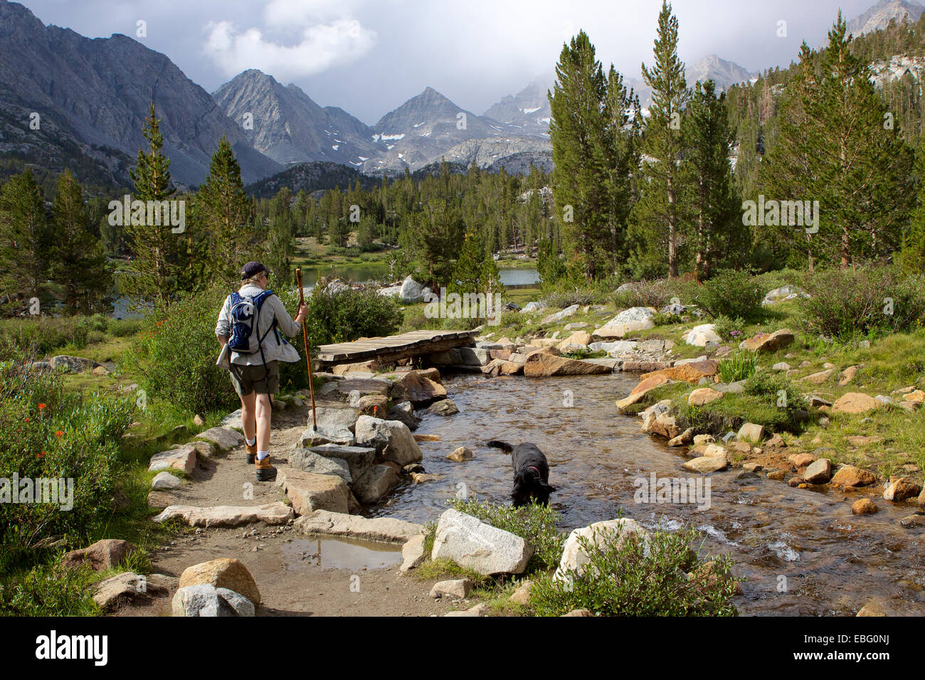 Eine Frau mit einem Hund wandern Kleine Seen Tal entlang Rock Creek in den Sierra Nevada Bergen in Kalifornien USA Stockfoto