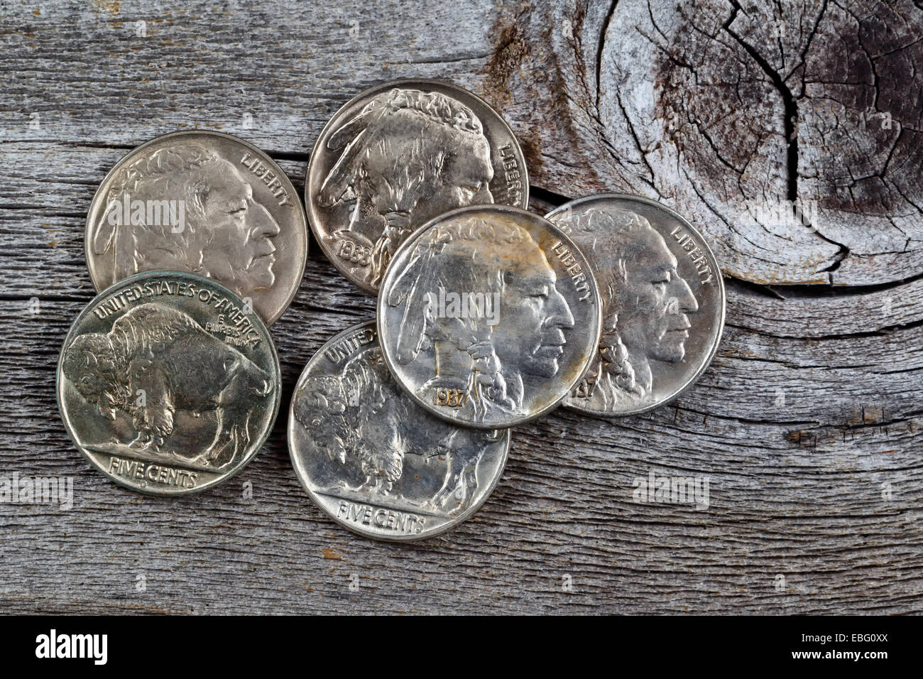 Seltene Büffel Kopf Nickelmünzen auf rustikalen Holz Stockfoto