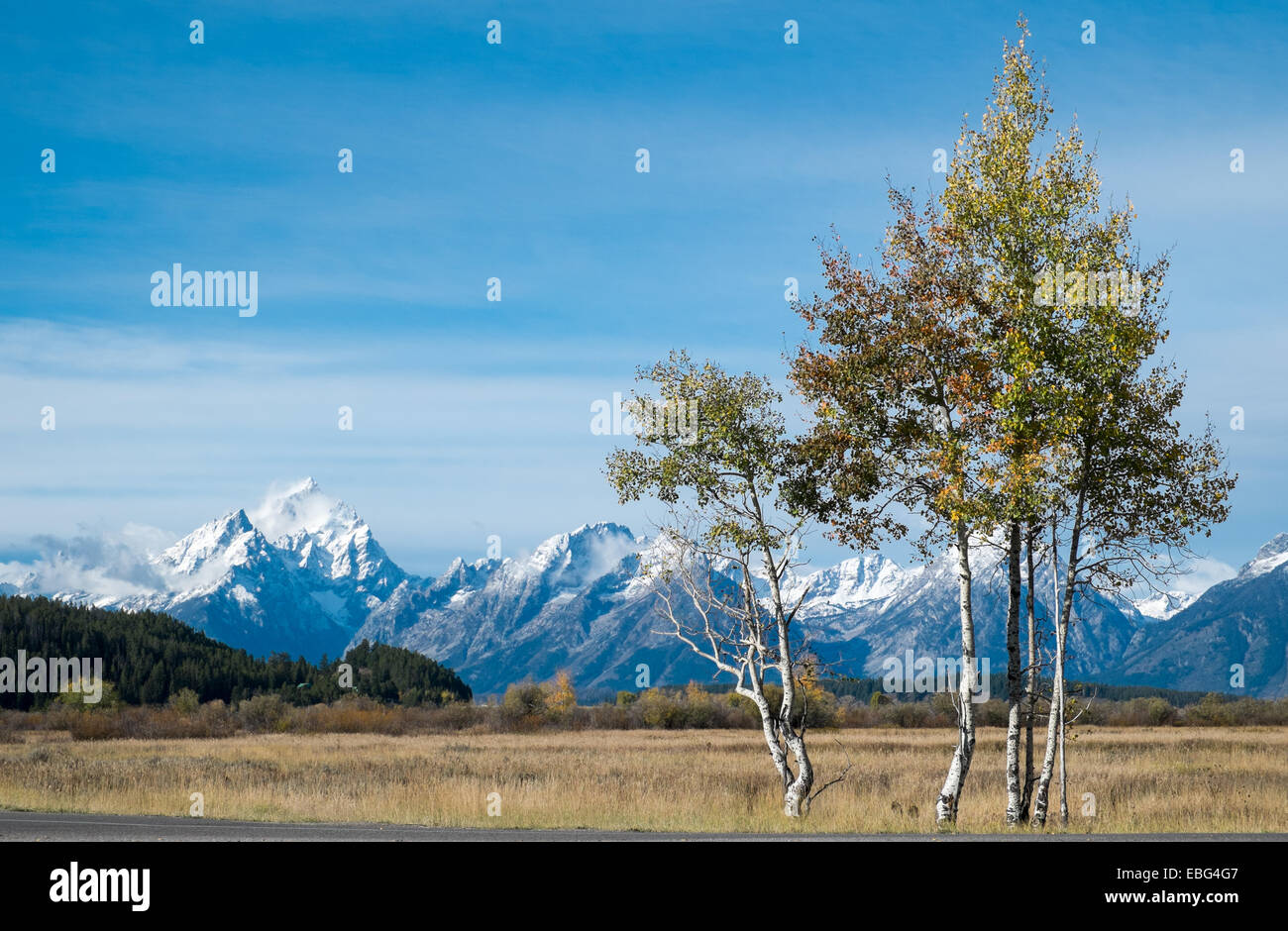Grand Teton National Park im Herbst in Wyoming, USA Stockfoto