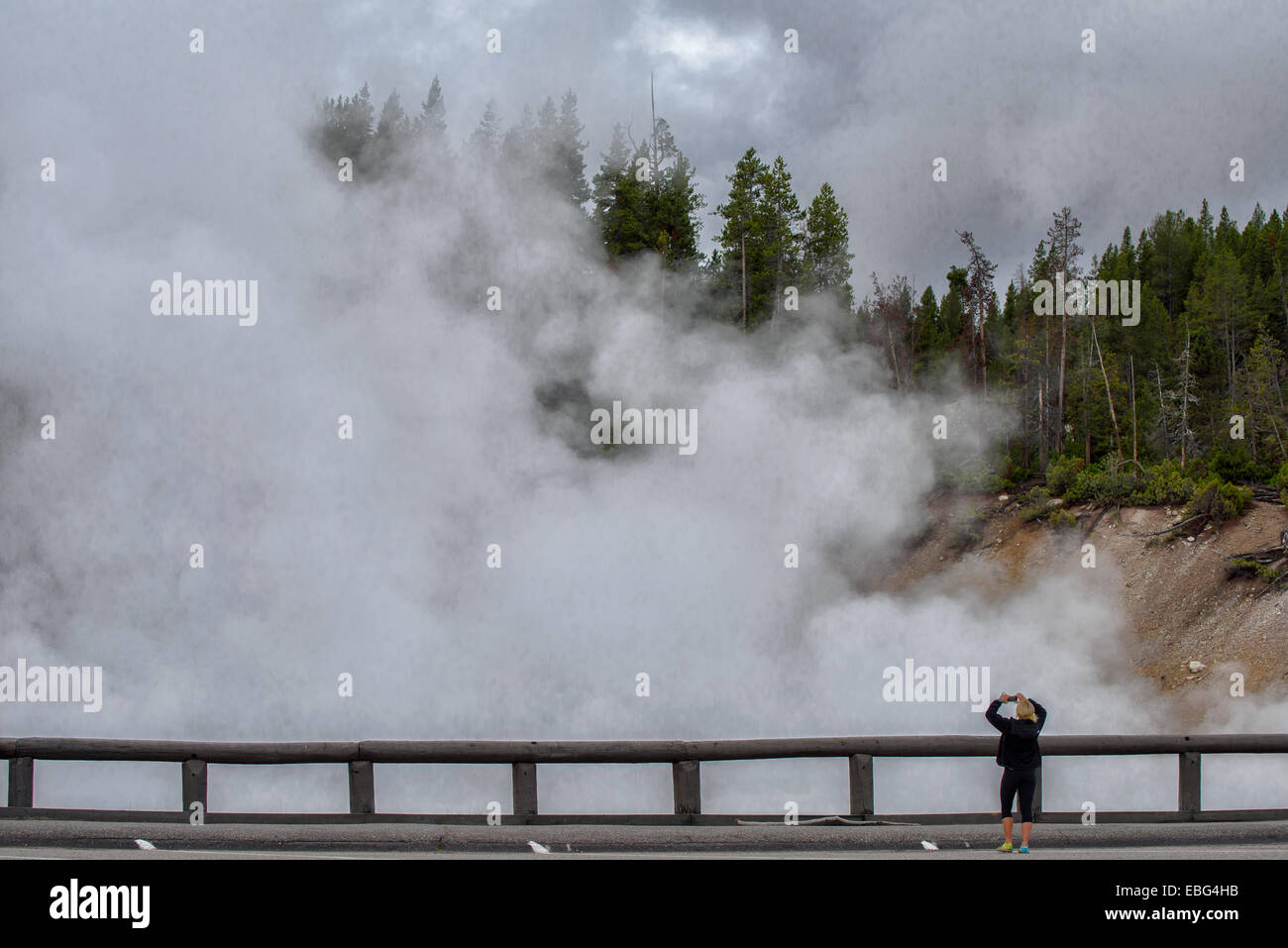 Geothermische Aktivität im Yellowstone Nationalpark, WY, USA Stockfoto