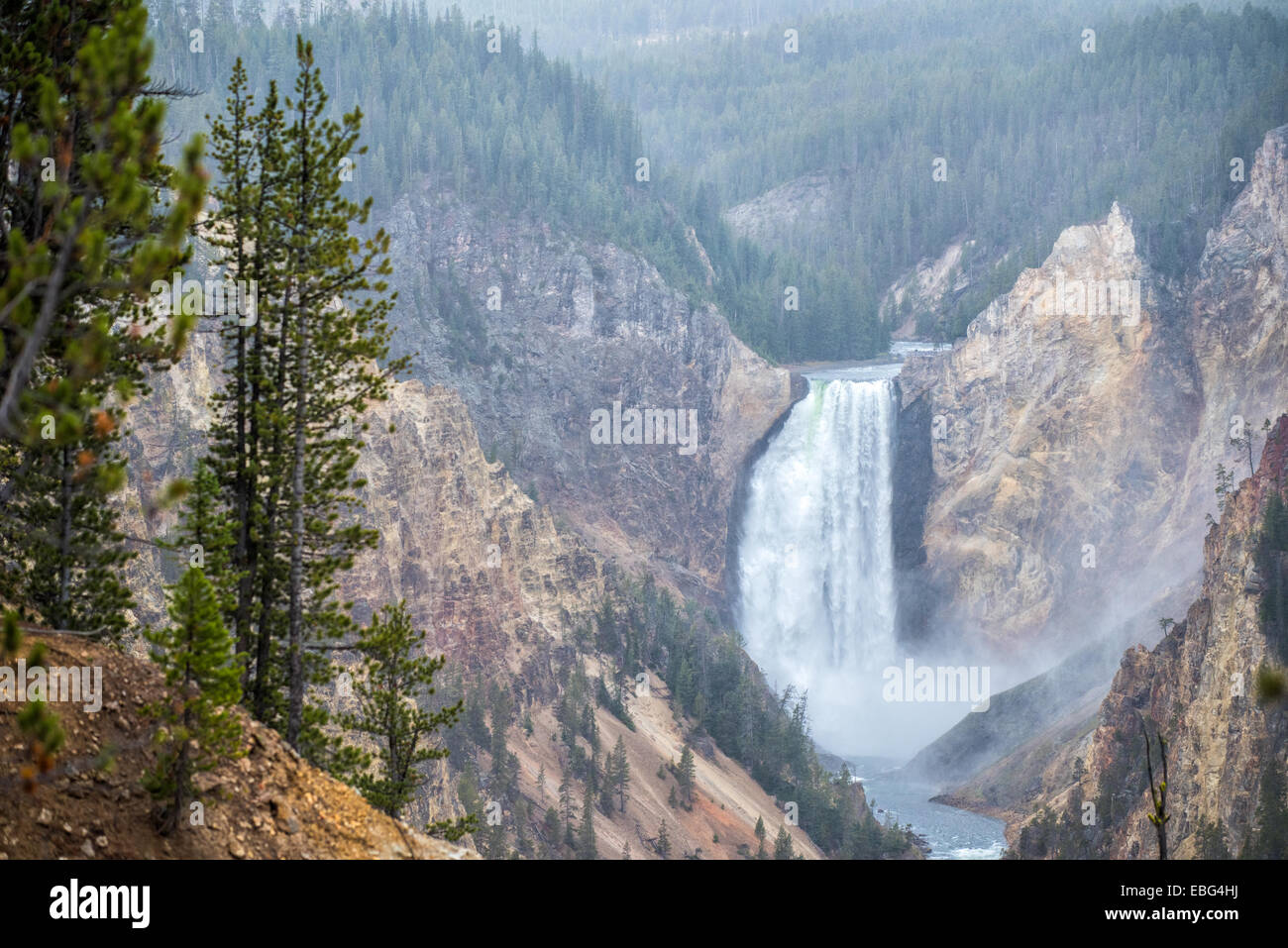 Wasserfall in den Grand Canyon des Yellowstone Nationalpark, WY, USA Stockfoto