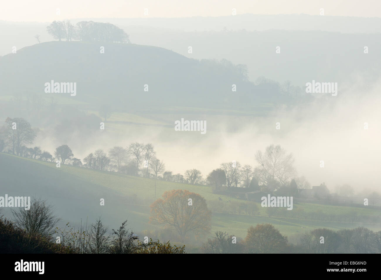 Downham Hügel im Nebel gesehen von Coaley Peak, in der Nähe von Dursley, Gloucestershire Stockfoto