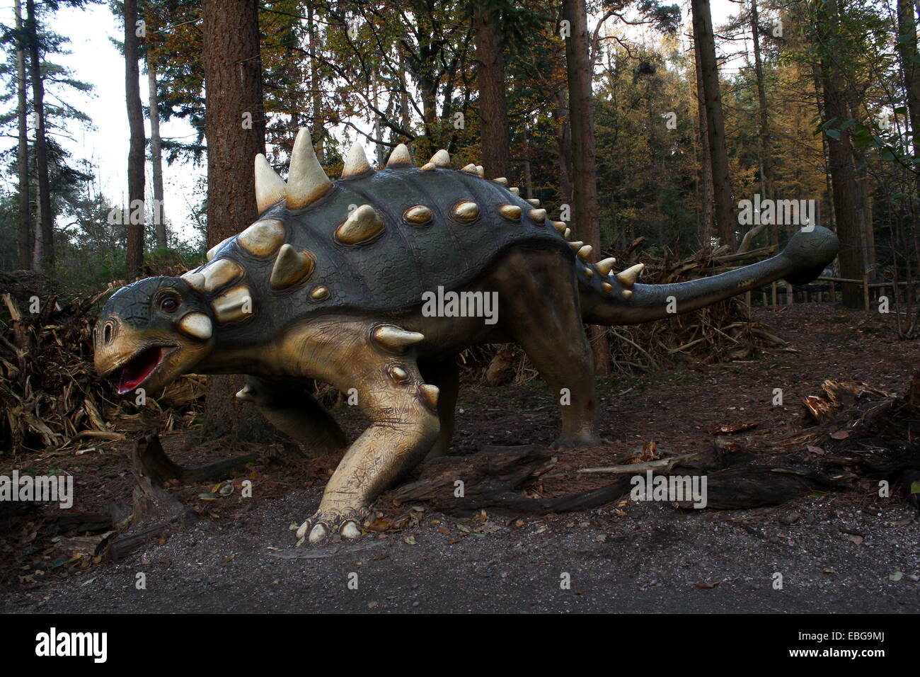 Euoplocephalus, lebensecht und Full-Size-Dino Statue im Dinopark Amersfoort Zoo, den Niederlanden (Kreide-Ära) Stockfoto