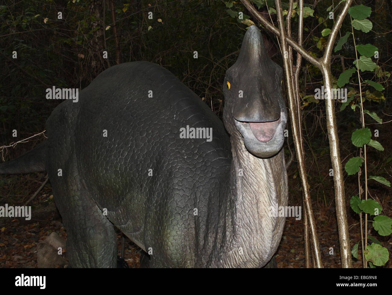 Corythosaurus, lebensecht und Full-Size-Dino Statue im Dinopark Amersfoort Zoo, den Niederlanden (Kreide-Ära) Stockfoto