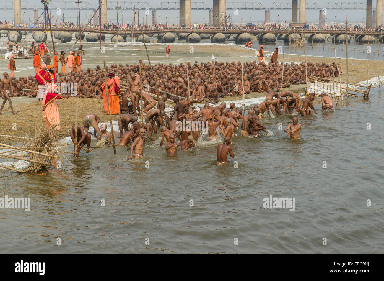 Reinigende Baden als Teil der Einleitung der neuen Sadhus an Sangam, dem Zusammenfluss der Flüsse Ganges Stockfoto