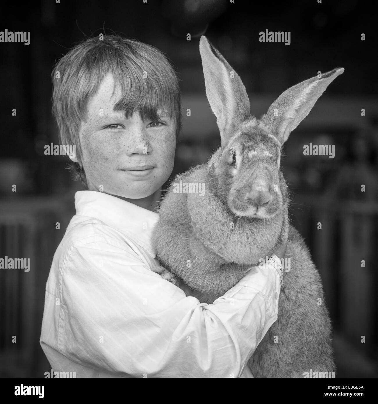 Junge mit Kaninchen (flämischer Riese) an State Fair in Alaska Stockfoto