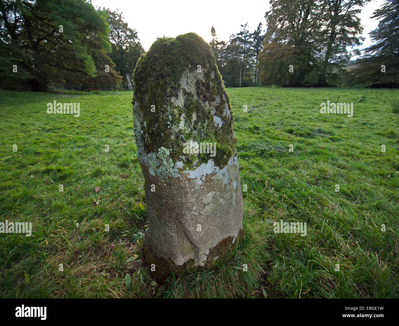 Ein stehender Stein in einem Feld im County Wicklow, Ireland Stockfoto