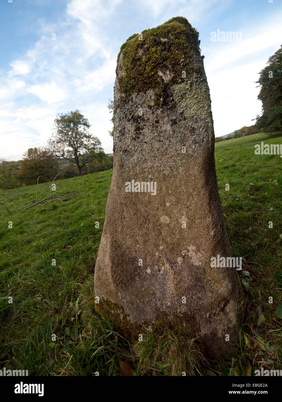 Ein stehender Stein in einem Feld im County Wicklow, Ireland Stockfoto