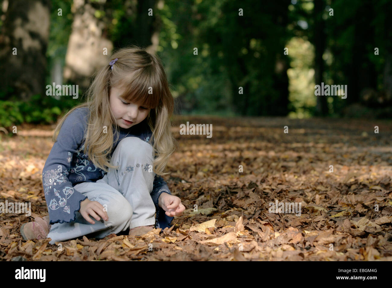 kleine Mädchen spielen mit Herbstlaub Stockfoto
