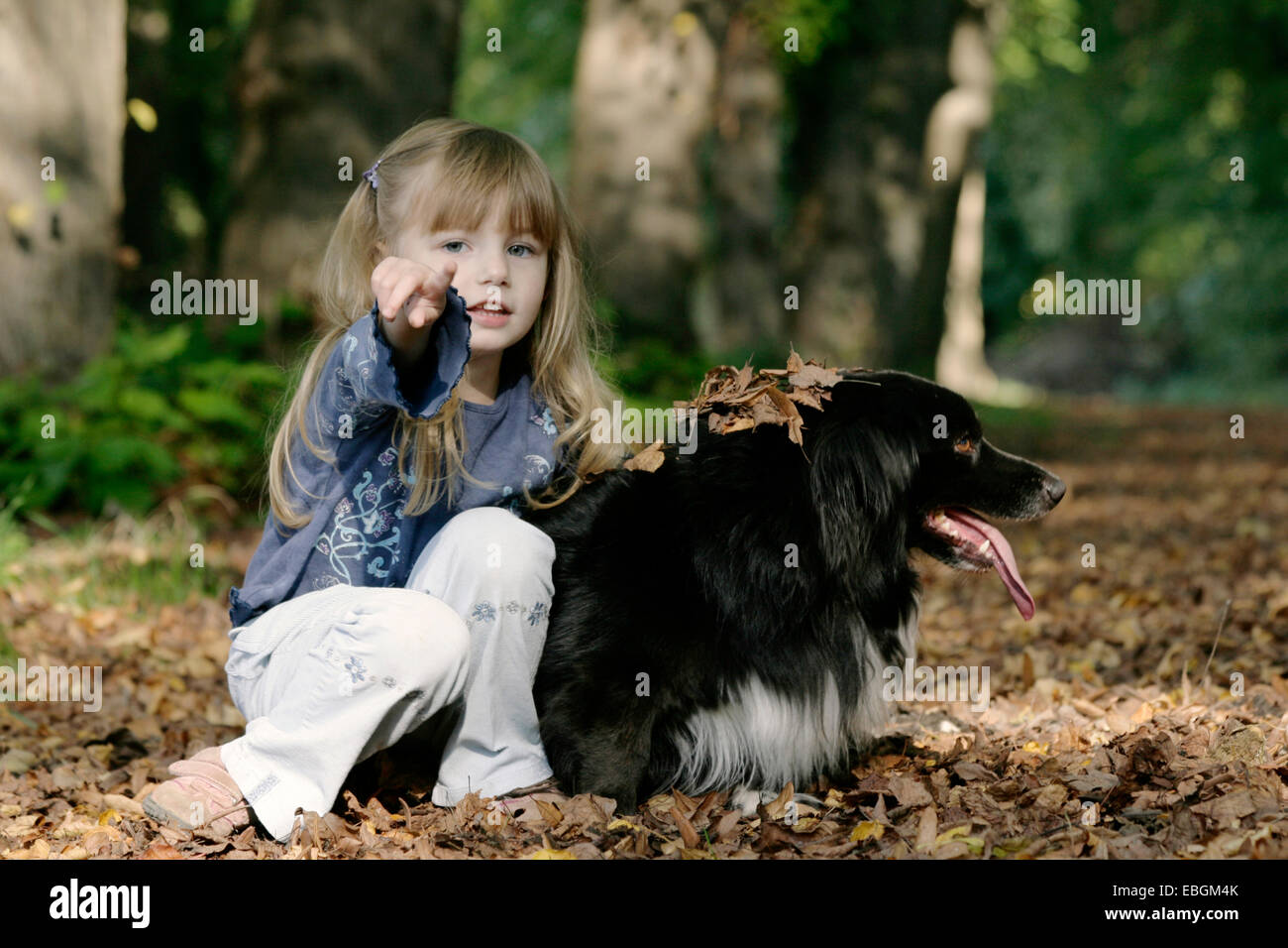 kleines Mädchen mit Hund im Herbst Holz Stockfoto