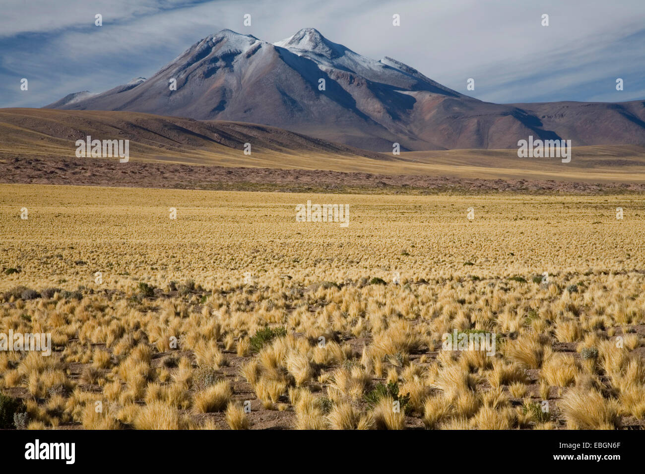 Cerro Miscanti (5622 m) und Cerro Miniques (5910 m), Chile Stockfoto