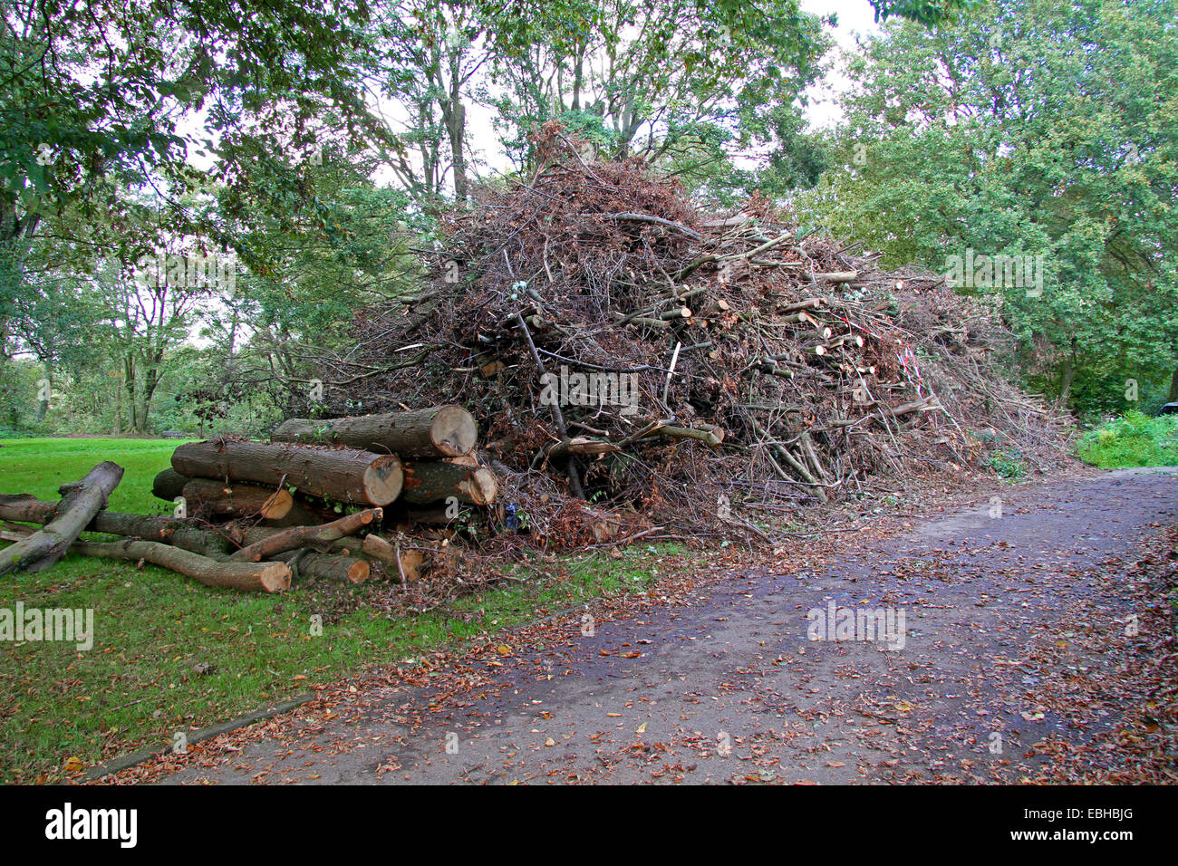 häuften sich Äste und Zweige nach Sturm Ela, Deutschland Stockfoto