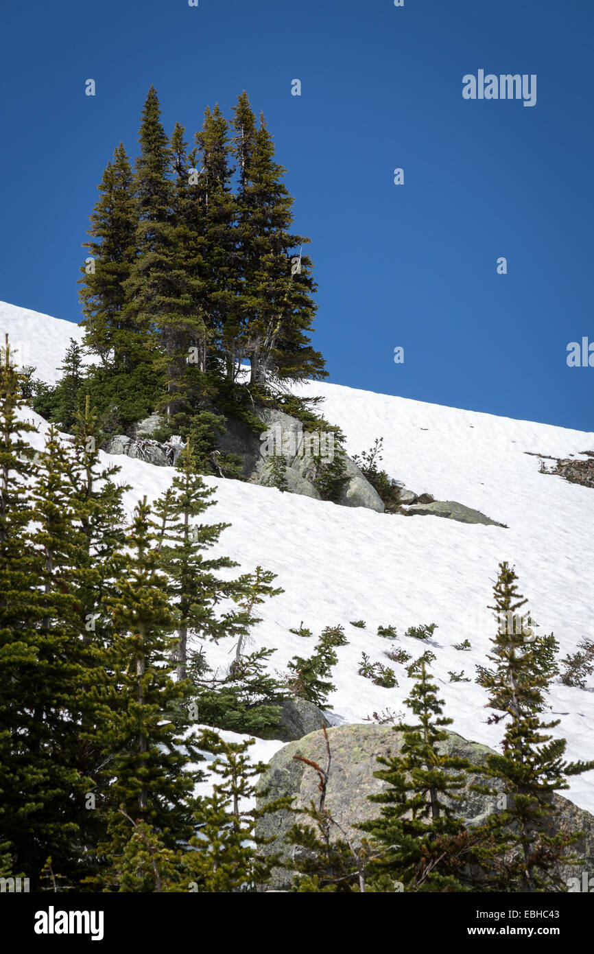 Whistler, Britisch-Kolumbien, Kanada, Nordamerika.  Blick auf die Berge von oben die Ski-Station. Stockfoto