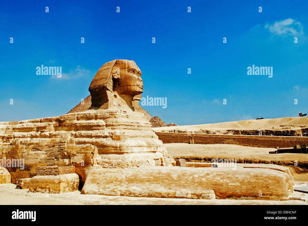 Große Sphinx von Gizeh, Ägypten, Gizeh Stockfoto
