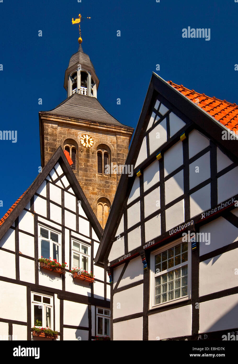 Fachwerkhäuser und Kirche in der Altstadt, Deutschland, Nordrhein-Westfalen, Tecklenburger Land, Tecklenburg Stockfoto