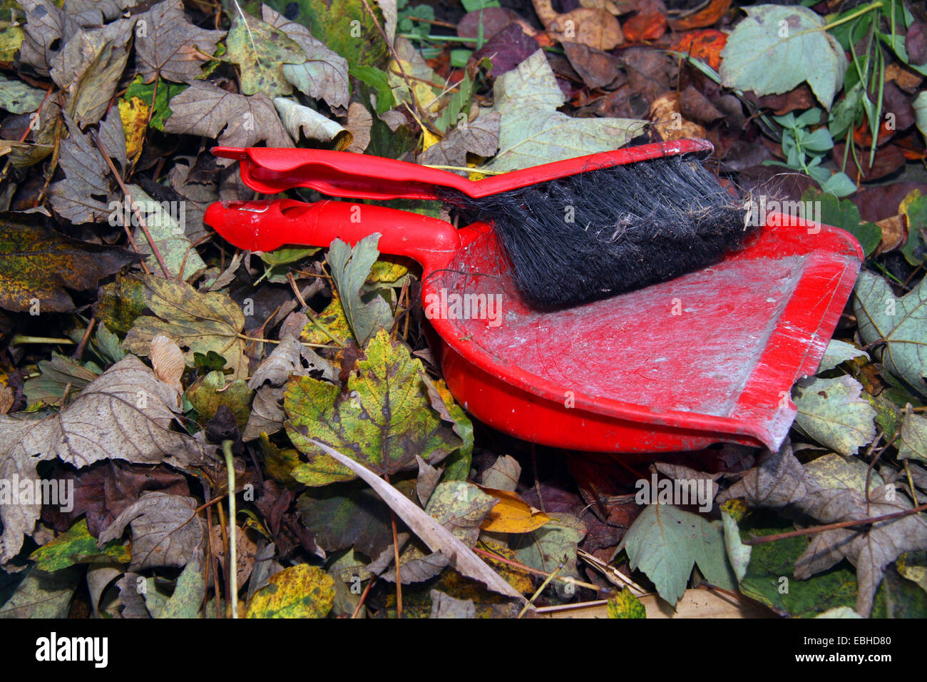 Hand-Besen und Kehrschaufel auf Herbstlaub, Deutschland Stockfoto