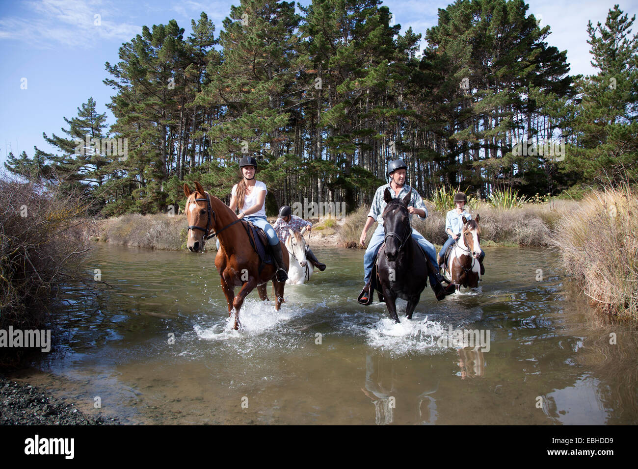Pferd Reiten, Pakiri Beach, Auckland, Neuseeland Stockfoto