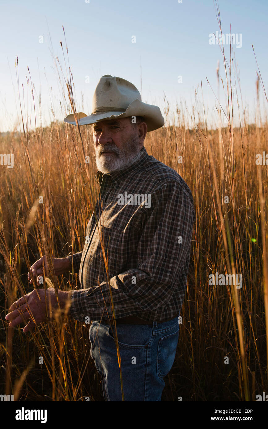 Porträt von senior männlichen Bauern lange Gras, Plattsburg, Missouri, USA Stockfoto