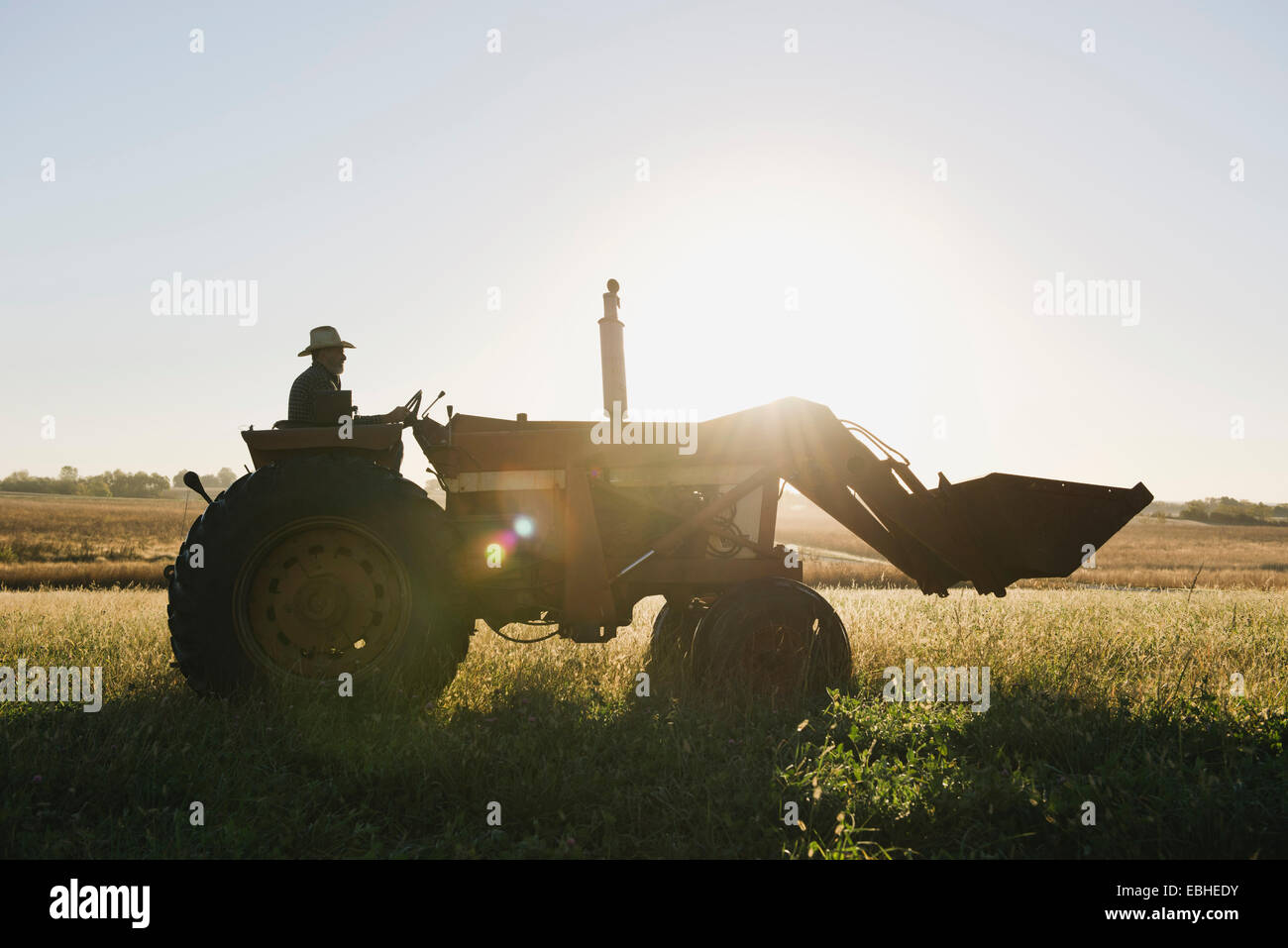 Silhouette senior männlichen Bauer Traktor fahren, im Feld, Plattsburg, Missouri, USA Stockfoto