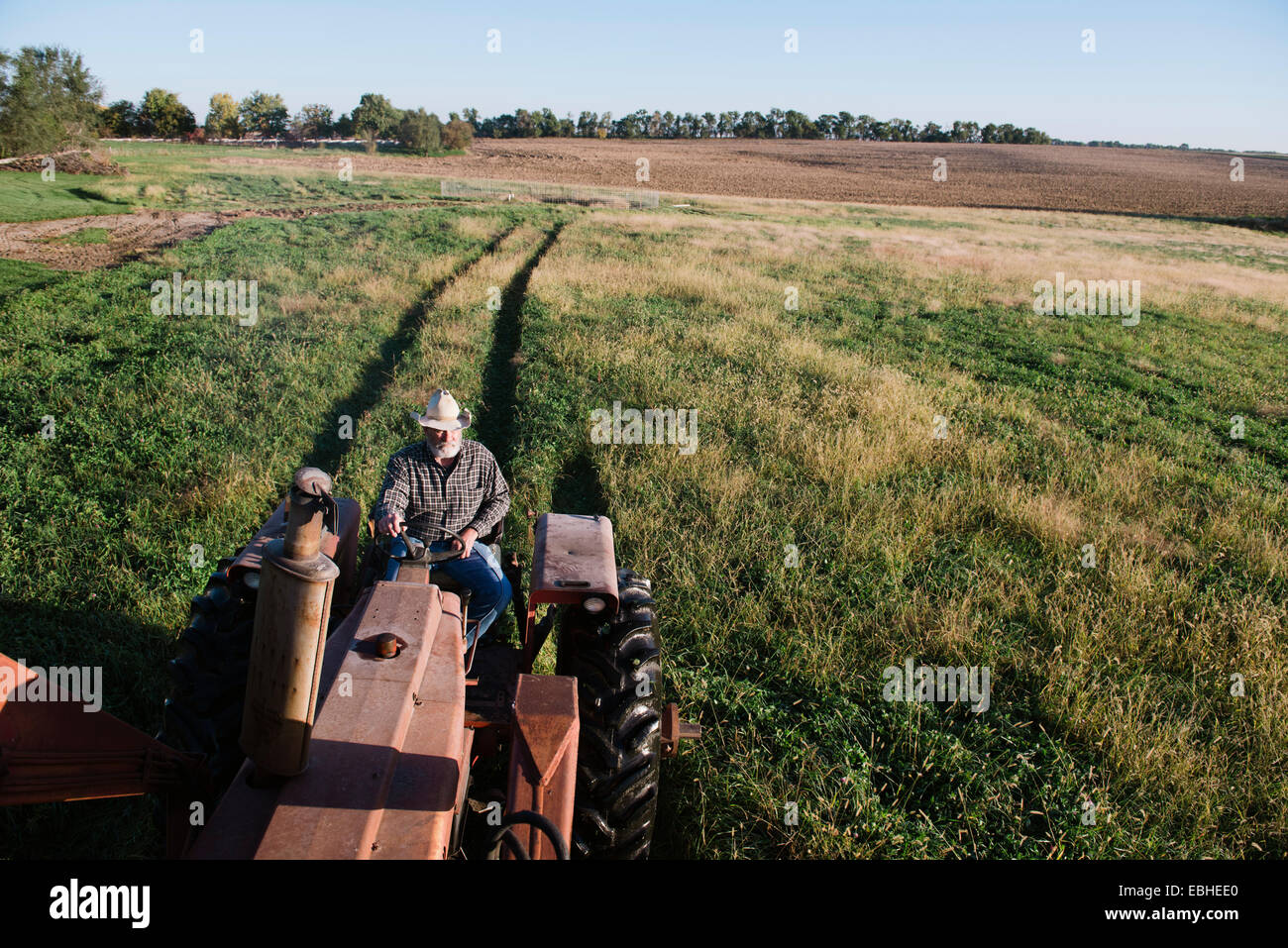 Erhöhte Ansicht senior männlichen Bauern Traktor fahren, im Feld, Plattsburg, Missouri, USA Stockfoto