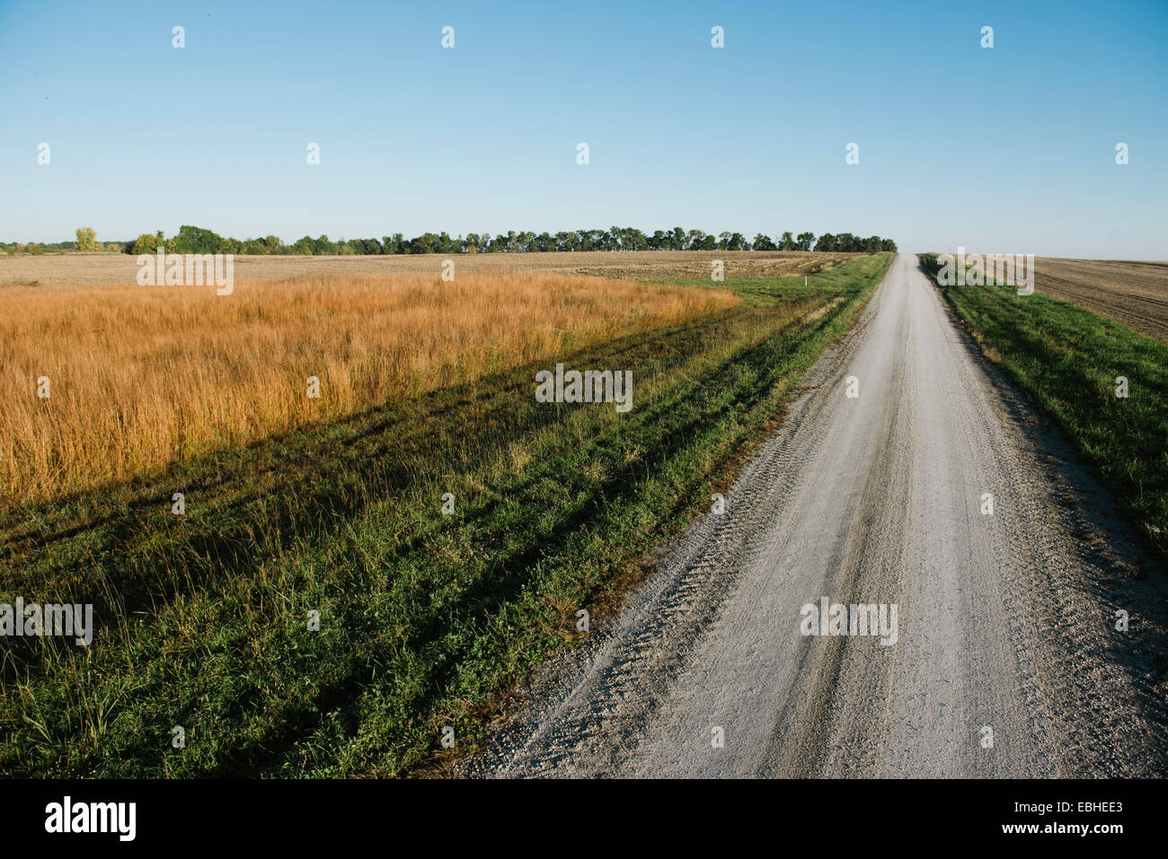 Erhöhte Ansicht des leeren Landstraße zwischen Feldern Stockfoto