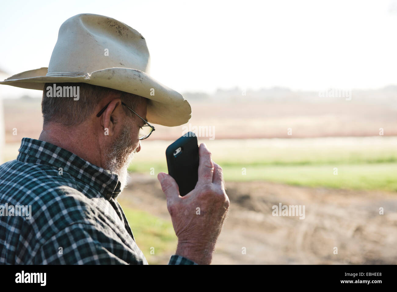 Schulter-Blick über senior männlichen Bauer hält Smartphone, Plattsburg, Missouri, USA Stockfoto