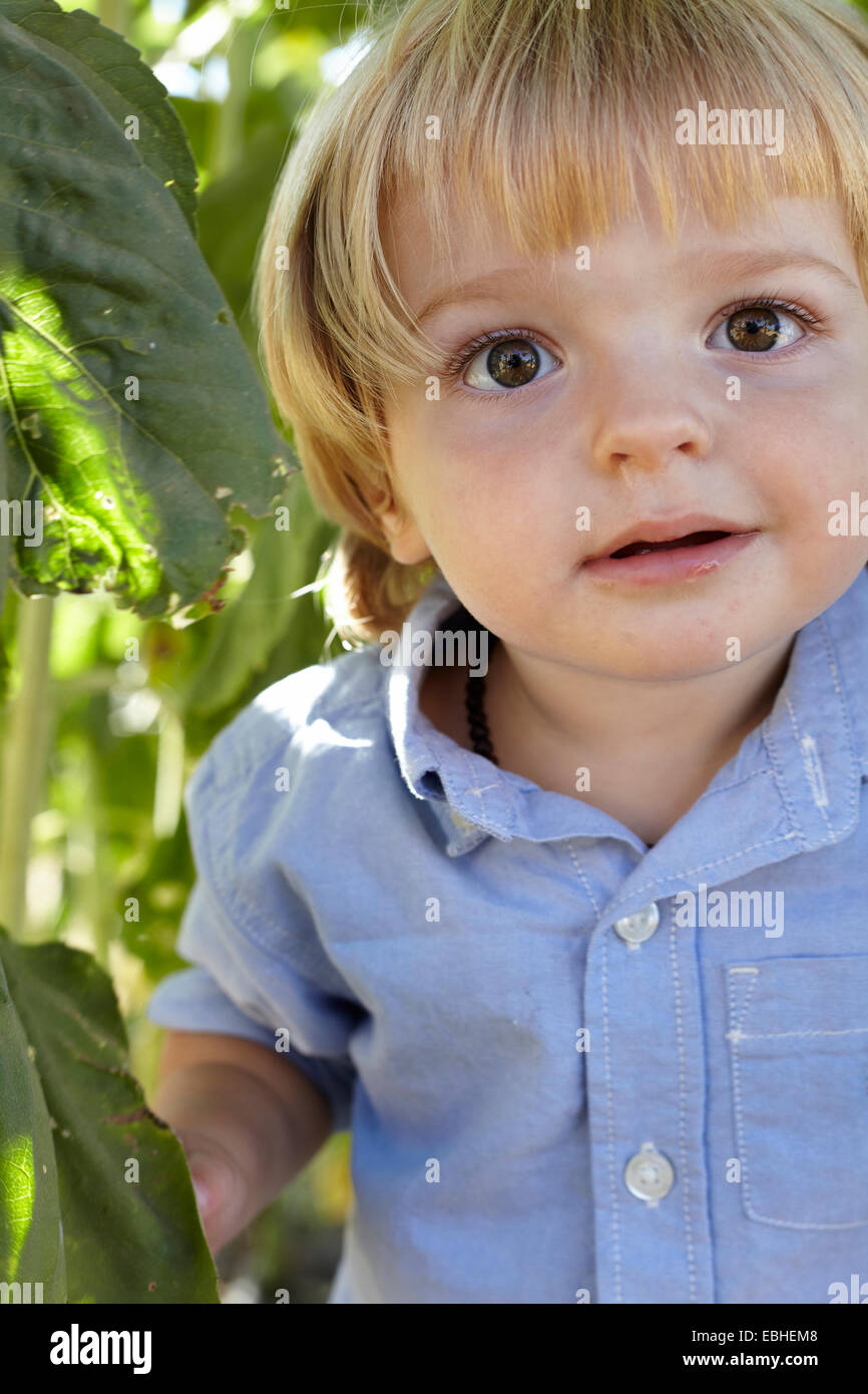 Porträt von männlichen Kleinkind unter Sonnenblume Laub Stockfoto